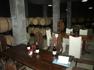 Chateau Copsa