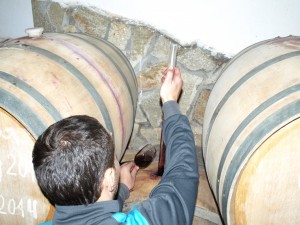 Malkata Zvezda Winery