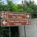 IMG_20210615_153503